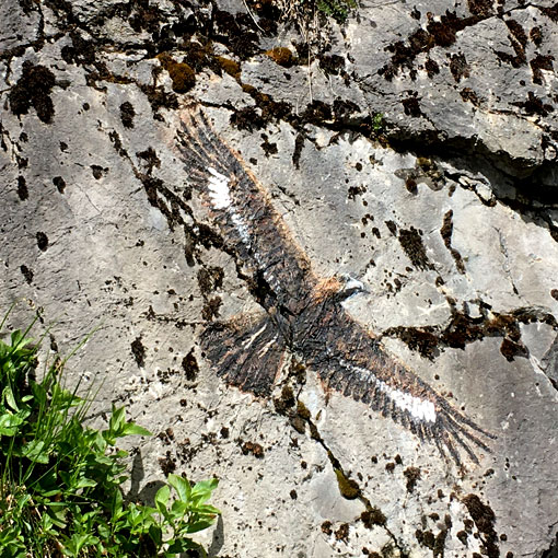 Aigle royal, peinture sur rochers