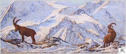 Les Bouquetins vers Villars