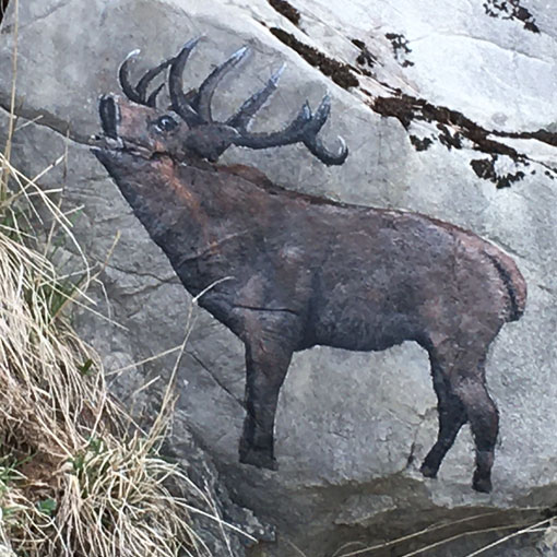 Cerf, peinture sur rochers