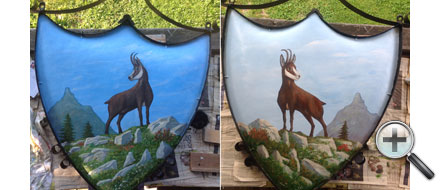 Chamois