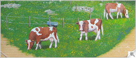 Vaches dans dietzet