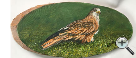 Rapace sur bois