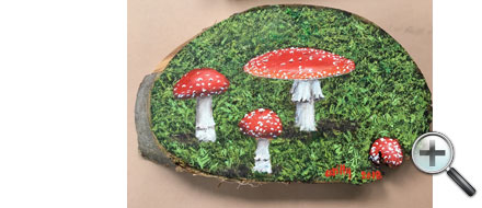 Champignons de saison