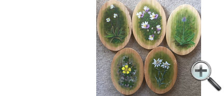 Fleurs diverses