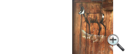 Chamois sur bois