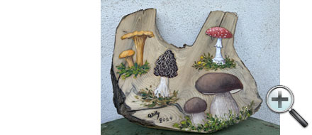 Champignons sur bois