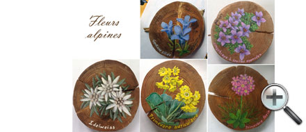 Fleurs alpines