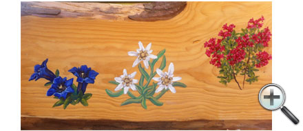 Flore alpine
