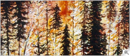 La forêt en feu