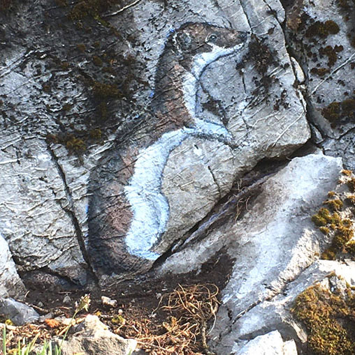 Hermine, peinture sur rochers