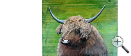 Vache Highland