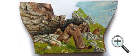 Les marmottes