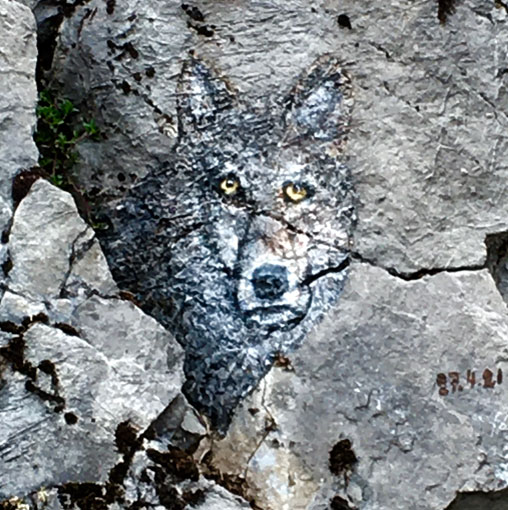 Loup, peinture sur rochers