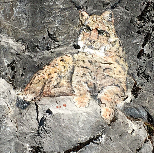Lynx, peinture sur rochers