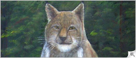 Lynx sur parabole