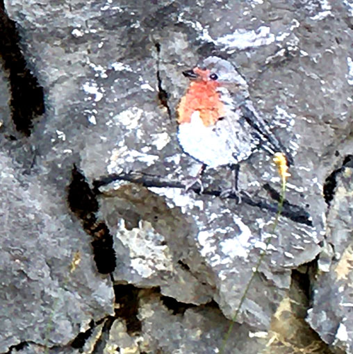 Rouge-gorge, peinture sur rochers