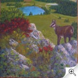 Paysage d'été