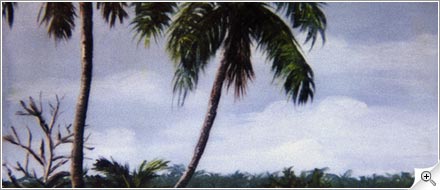 Peinture de Tahiti