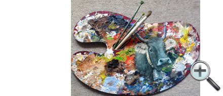 Tête de vache grisonne sur palette