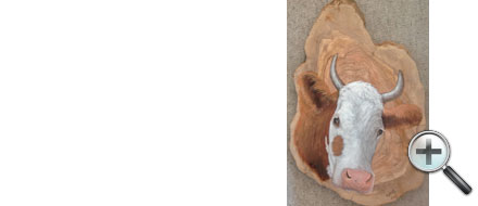 Tête de vache sur bois