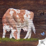 Vache et papillon bleu