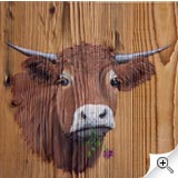 Vache au trèfle