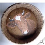 Vache dans dietzet