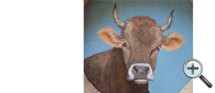 Tête de vache dans dietzet