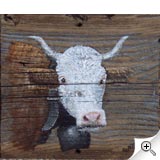 Vache sur planche