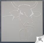 T&ecirc;te de Vache de Greeeg 012