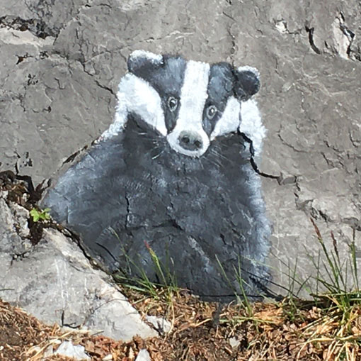 Blaireau, peinture sur rochers