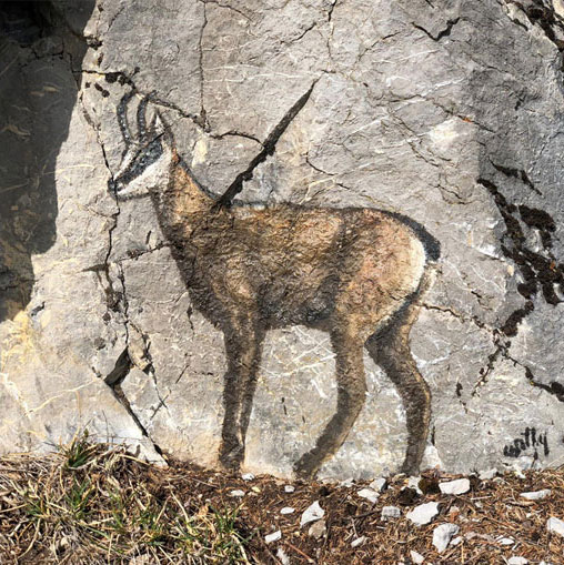 Chamois, peinture sur rochers