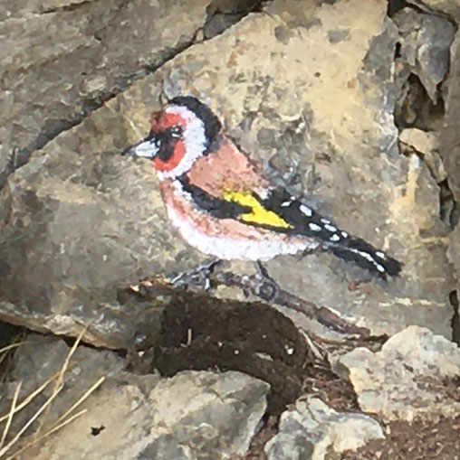 Chardonneret, peinture sur rochers