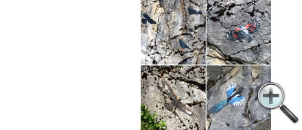 Nelangerthal, peintures sur rochers