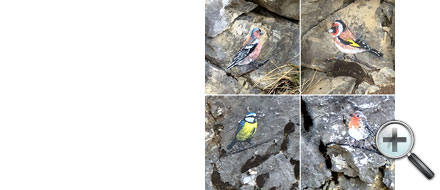 Nelangerthal, peintures sur rochers