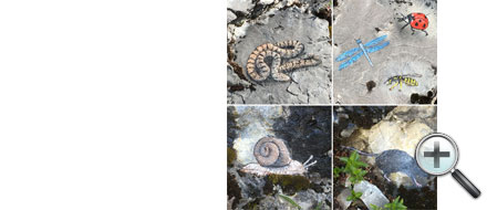 Nelangerthal, peintures sur rochers
