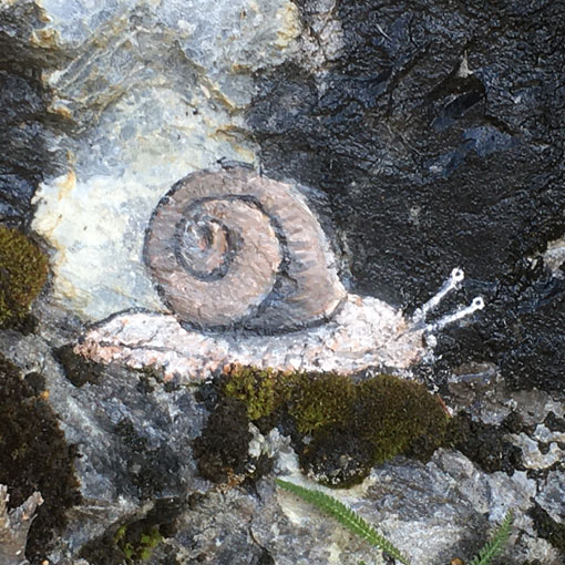 Escargot, peinture sur rochers