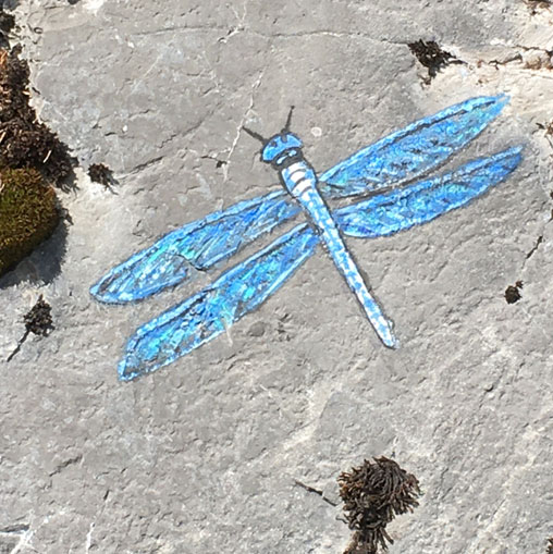 Libellule, peinture sur rochers