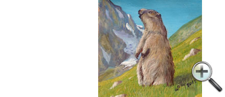 Marmotte sur cuir