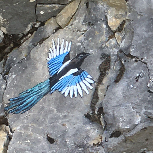 Pie, peinture sur rochers
