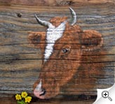 Portrait de vache sur vieux bois