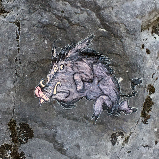 Sanglier, peinture sur rochers