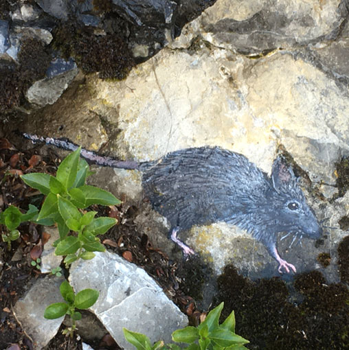 Souris, peinture sur rochers
