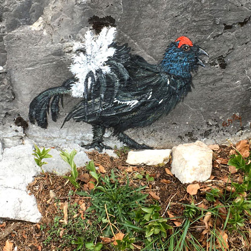 Tétras, peinture sur rochers