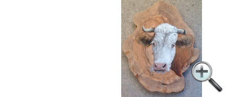 Tête de vache sur bois