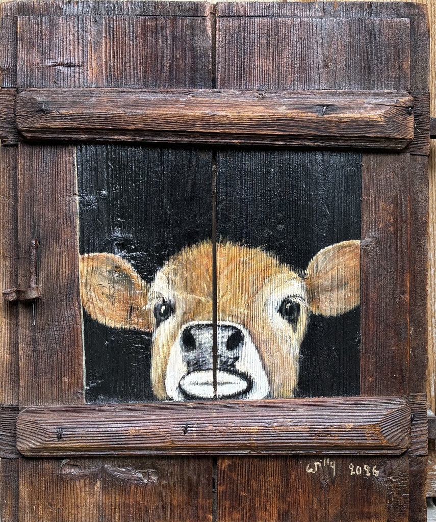 Petit veau