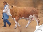 Le taureau